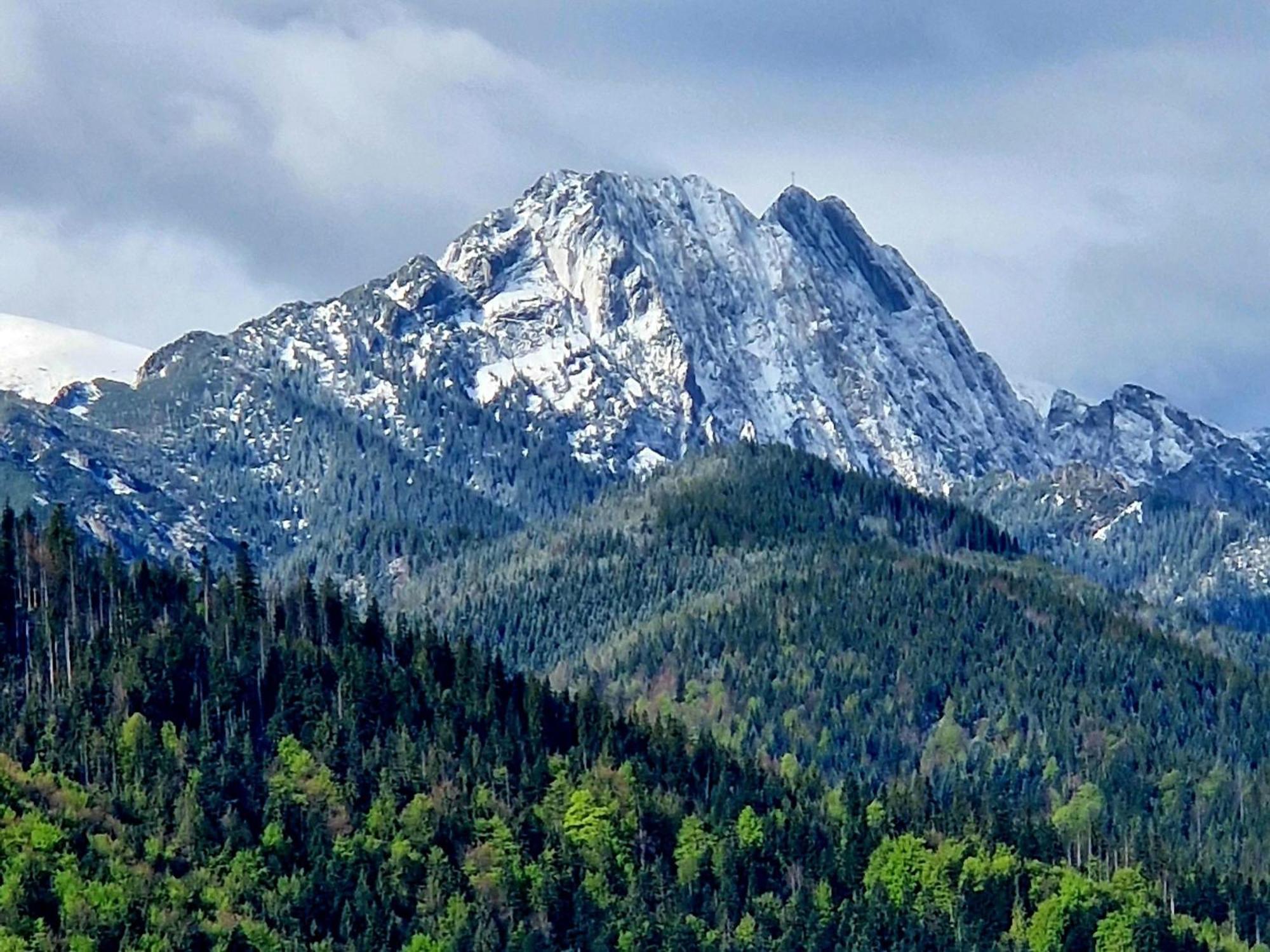 Pokoje Apartamenty Pod Limba, Zakopane